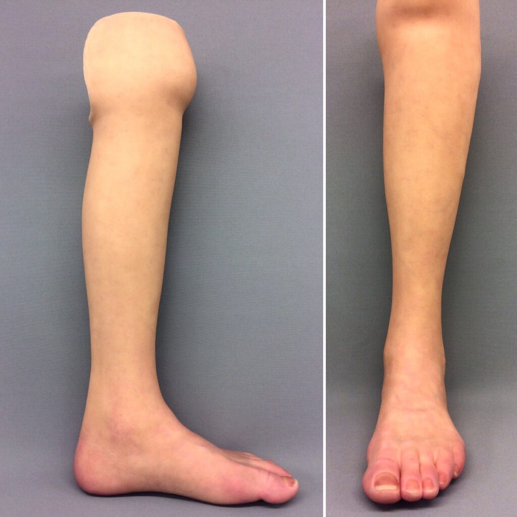 realistic prosthetic leg