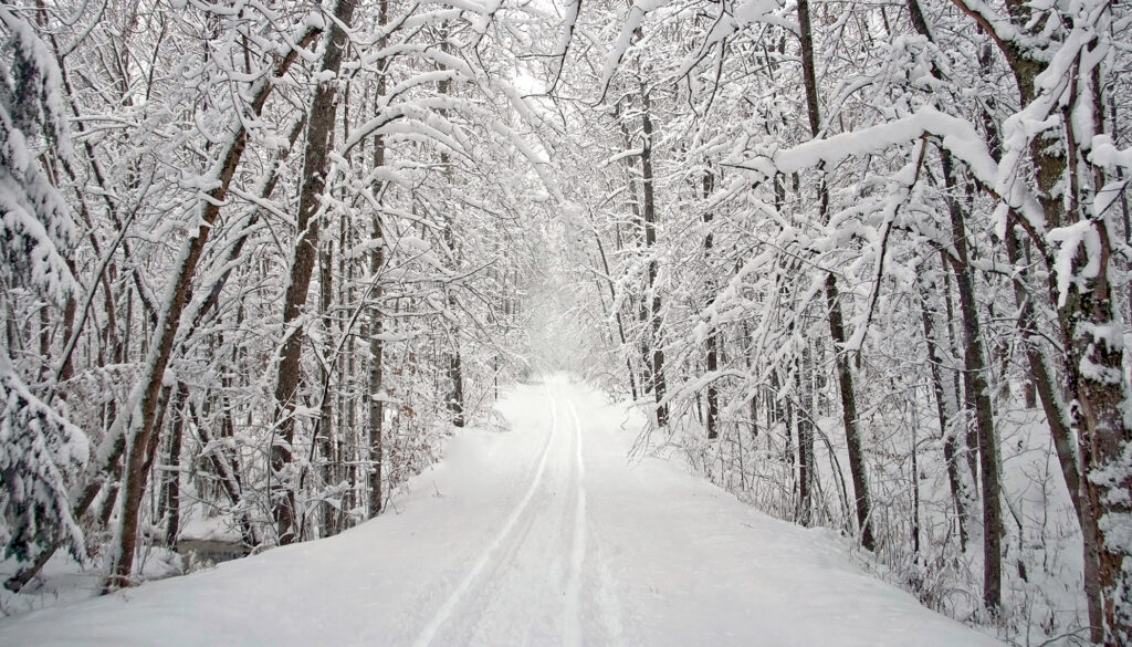 Walking as an Amputee in Winter